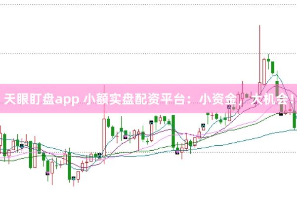 天眼盯盘app 小额实盘配资平台：小资金，大机会！