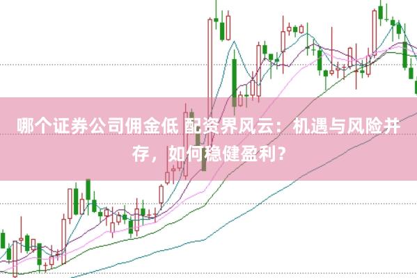 哪个证券公司佣金低 配资界风云：机遇与风险并存，如何稳健盈利？