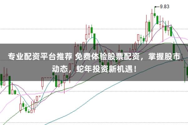 专业配资平台推荐 免费体验股票配资，掌握股市动态，蛇年投资新机遇！