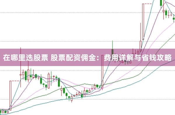 在哪里选股票 股票配资佣金：费用详解与省钱攻略
