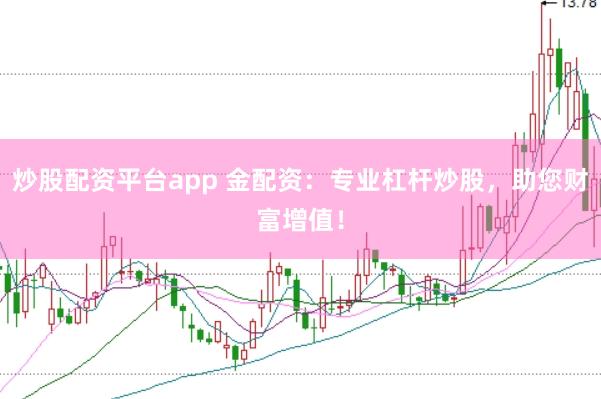 炒股配资平台app 金配资:专业杠杆炒股,助您财富增值!