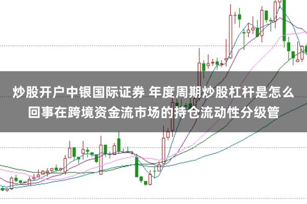 炒股开户中银国际证券 年度周期炒股杠杆是怎么回事在跨境资金流市场的持仓流动性分级管