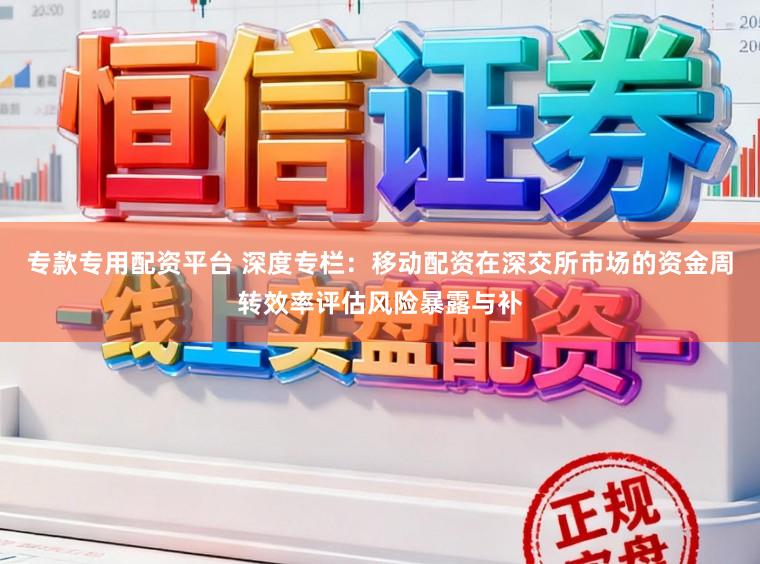 专款专用配资平台 深度专栏：移动配资在深交所市场的资金周转效率评估风险暴露与补