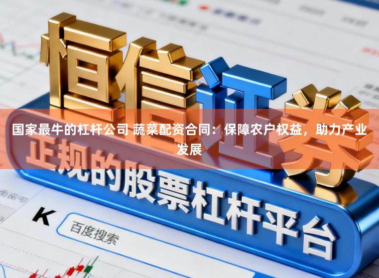 国家最牛的杠杆公司 蔬菜配资合同：保障农户权益，助力产业发展